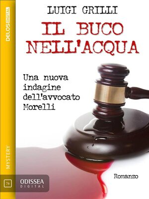 cover image of Il buco nell'acqua